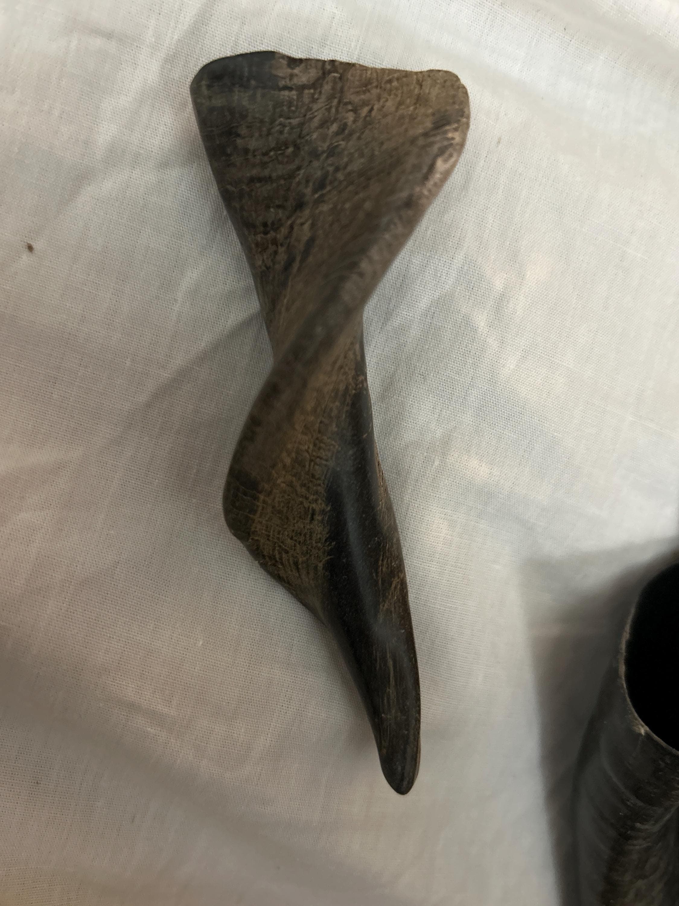 Polished Goat horn tips made from natural goat horns. - Image 1