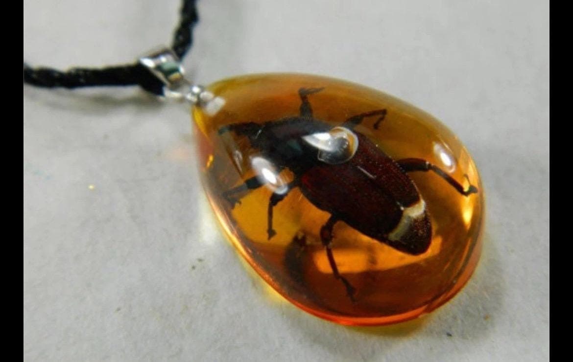 33 mm real Beatle Necklace - Image 1