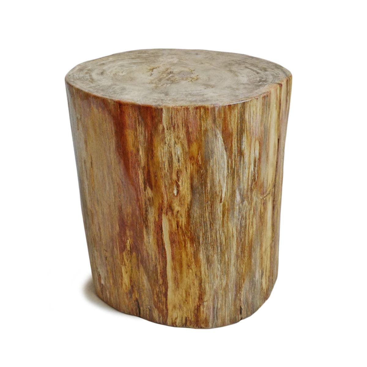Petrified Stump Side Table / Stool - Thumbnail 2