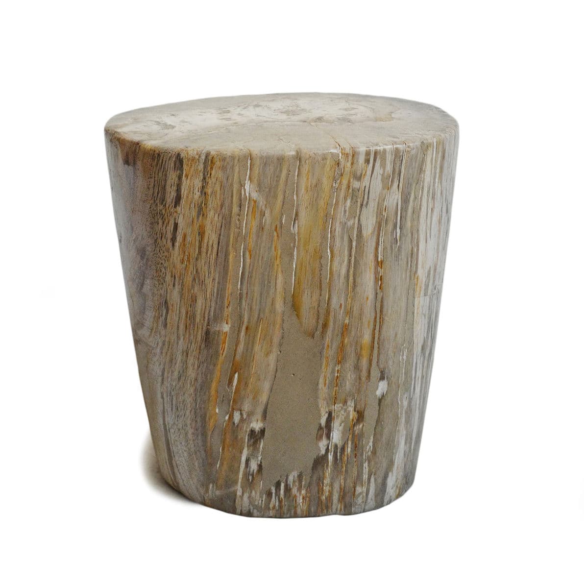 Petrified Stump Side Table - Thumbnail 2
