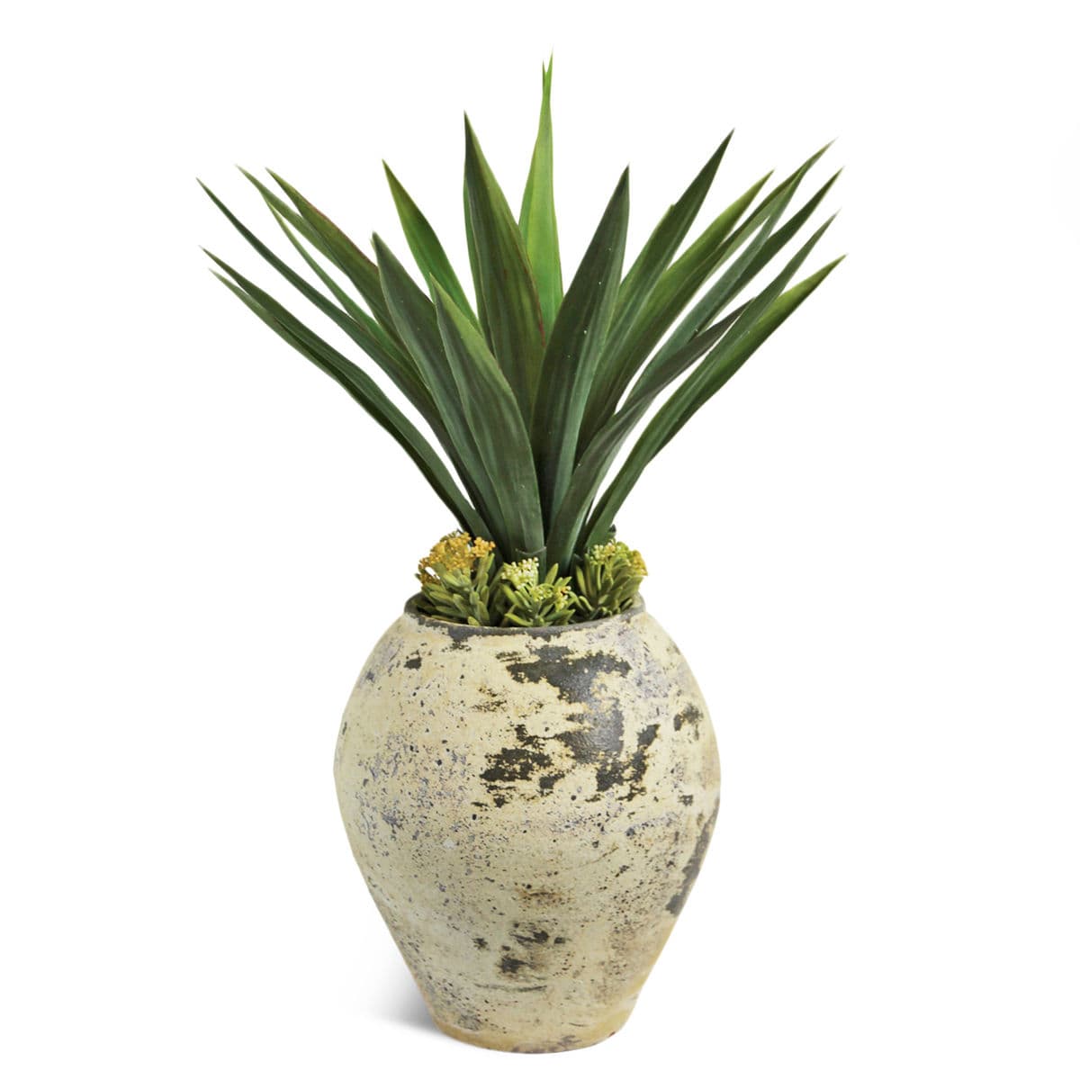 Earth Ware Pot w/Faux Yucca Needle Point - Thumbnail 2