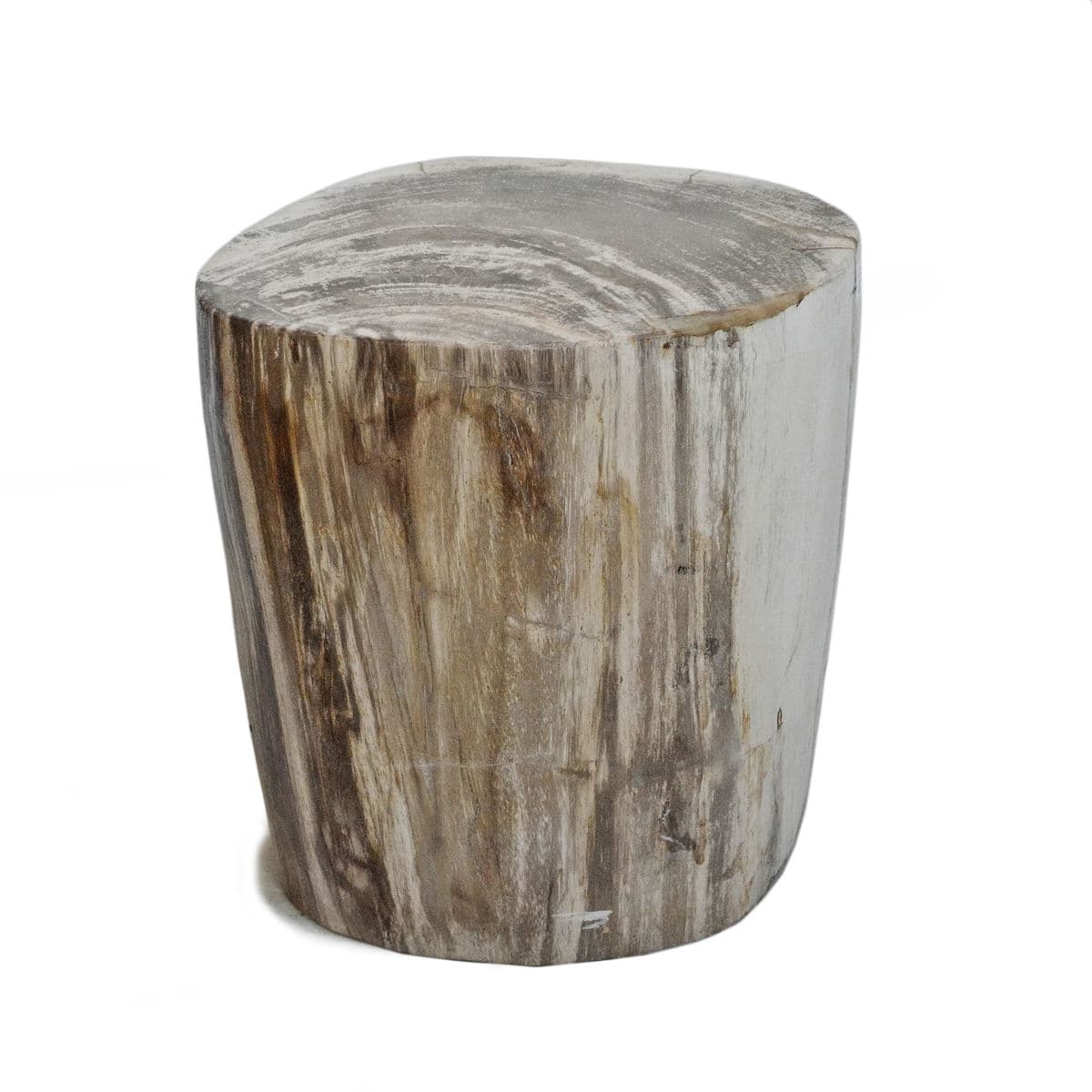Petrified Stump Stool Table - Thumbnail 2
