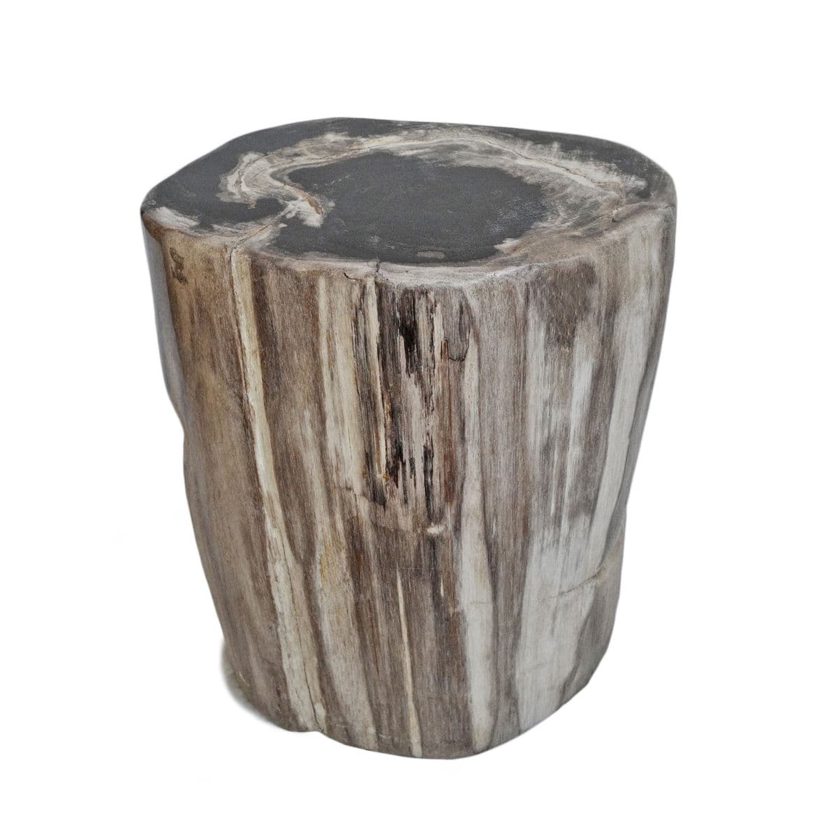 Petrified Stump Stool - Thumbnail 2