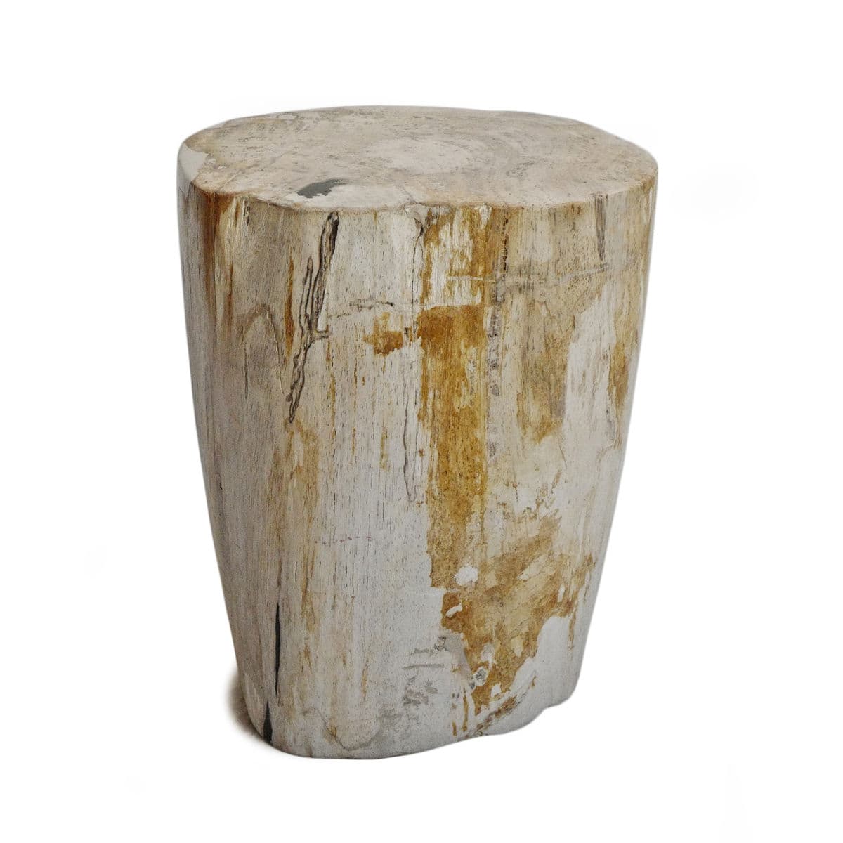 Petrified Stump Side Table / Stool - Thumbnail 2