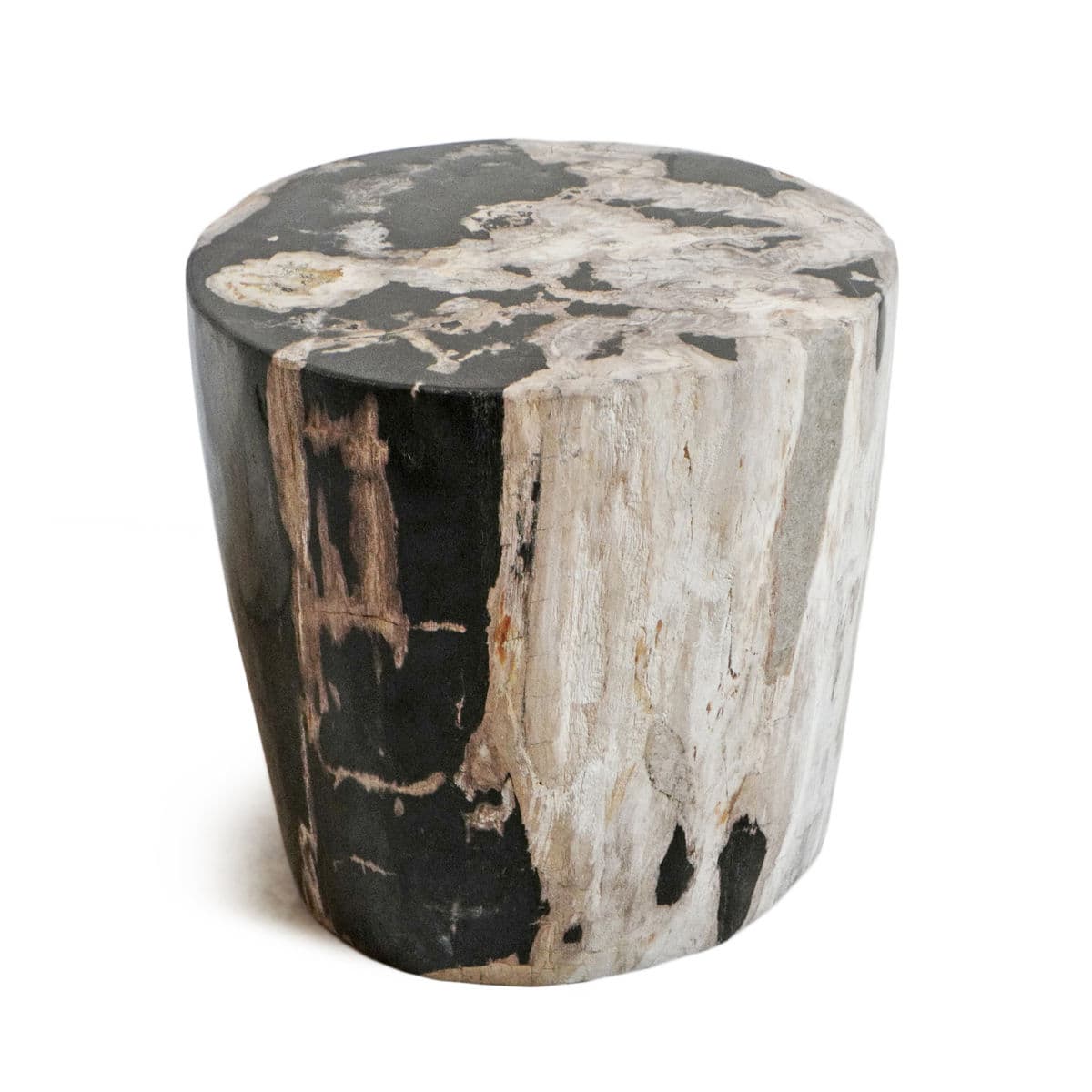Petrified Wood Stump Stool - Thumbnail 2