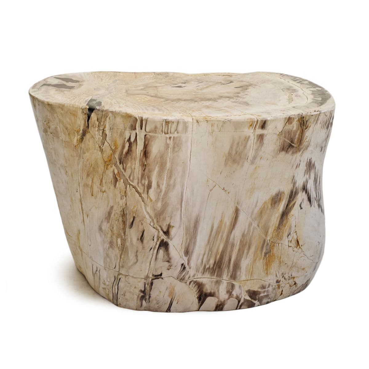 Petrified Wood Stump Stool Table - Thumbnail 2