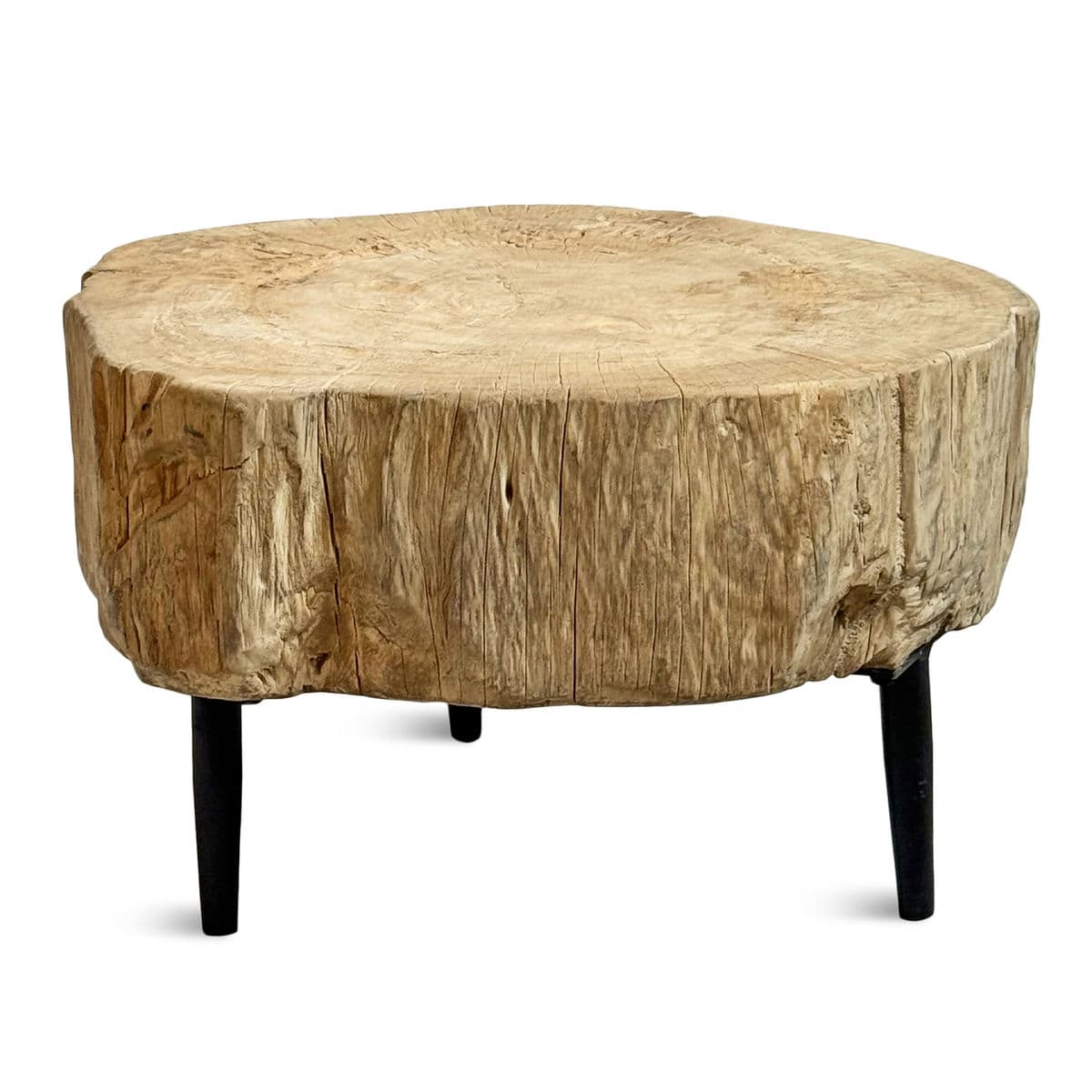 Organic Modern Raw Stump Low Table - Thumbnail 2