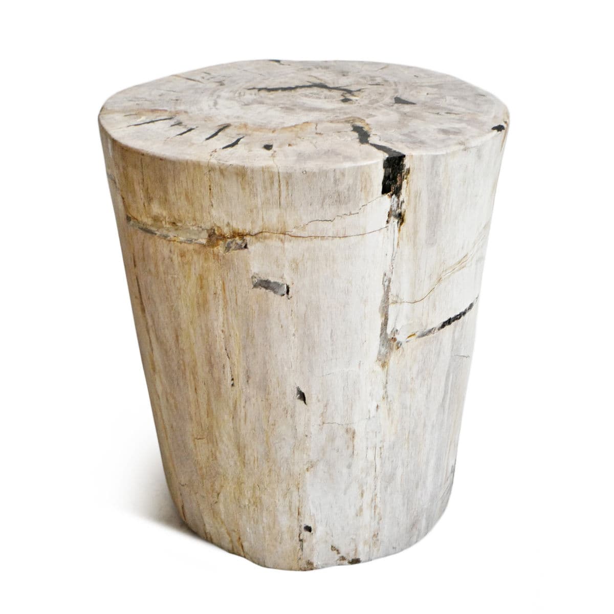 Petrified Wood Stump Stool - Thumbnail 2