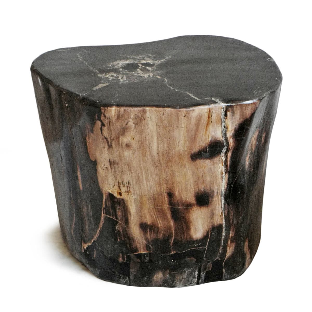 Petrified Wood Stump Stool - Thumbnail 2
