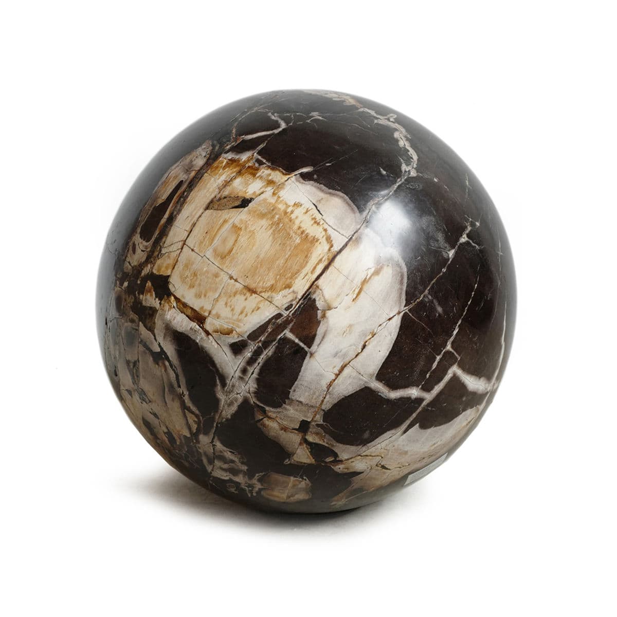 Large Petrified Wood Sphere - Thumbnail 2