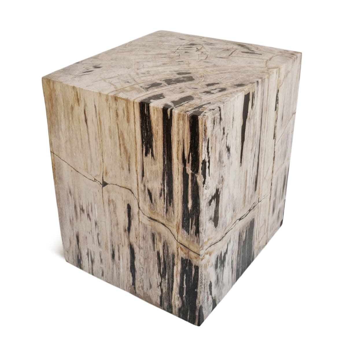 Square Petrified Wood Stump Table - Thumbnail 2
