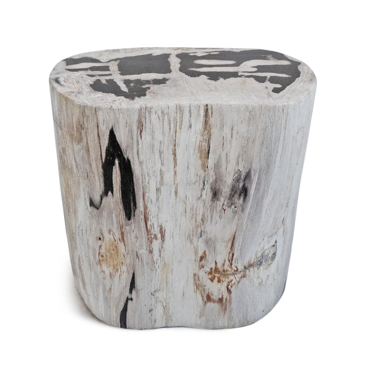 Petrified Wood Stump Stool Table - Thumbnail 2