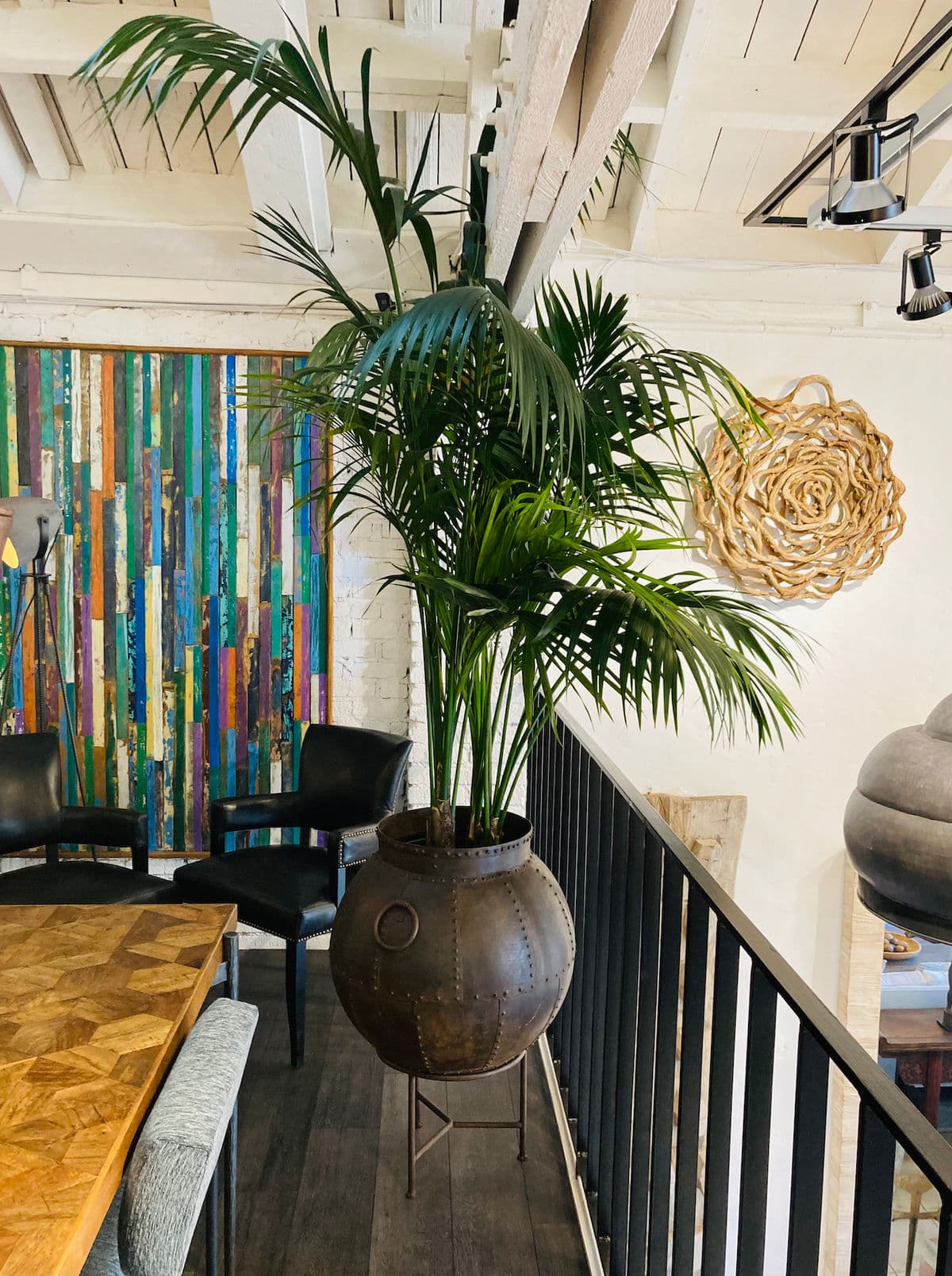 Iron Rivet Pot with Kenia Palm - Thumbnail 2