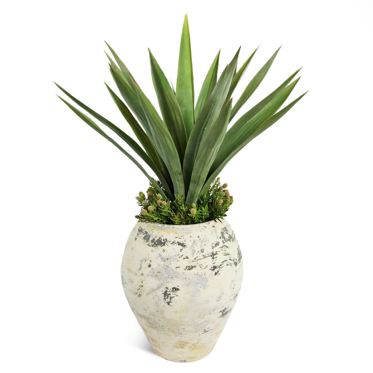 Earth Ware Pot w/Faux Yucca Needle Point - Thumbnail 2