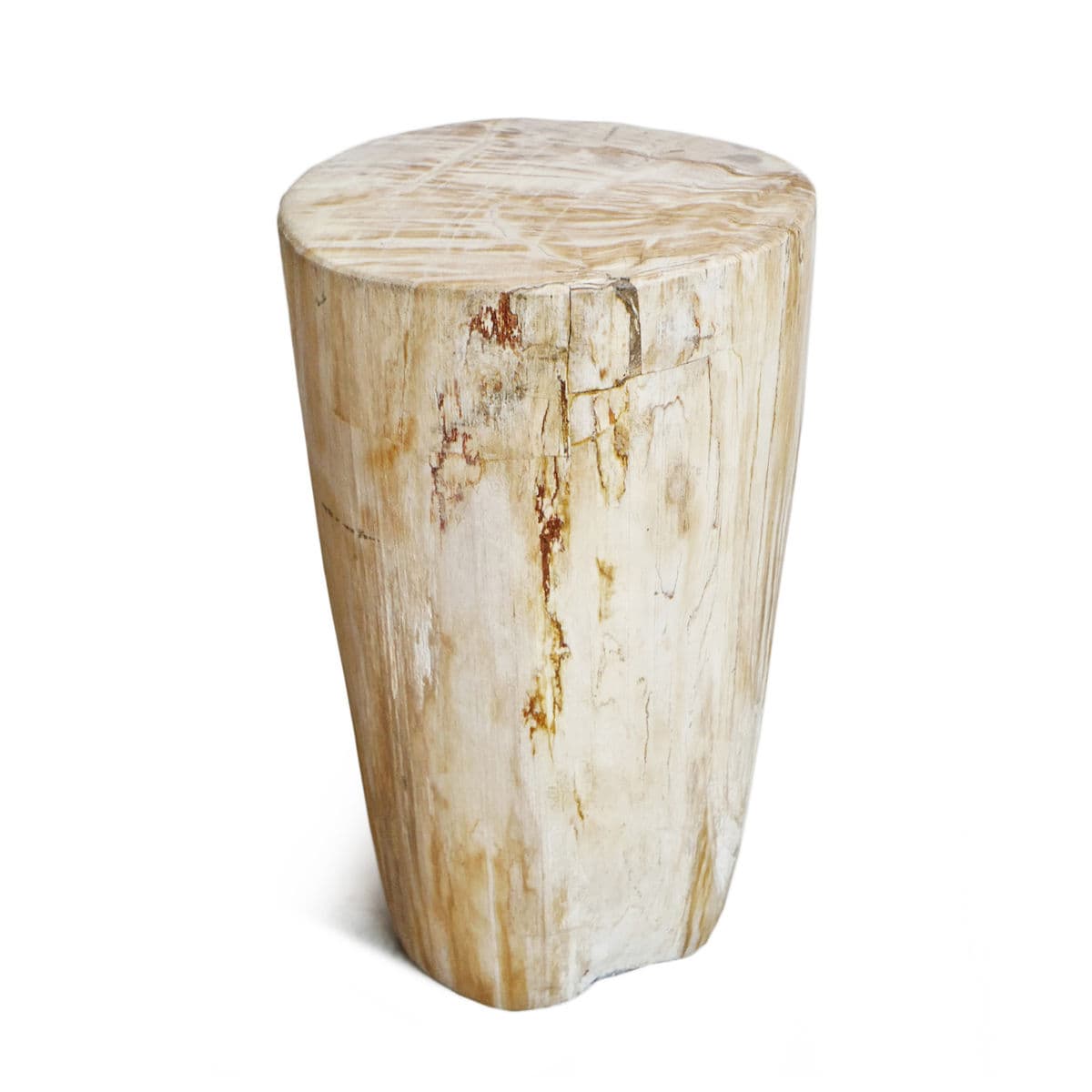 Petrified Wood Stump Stool - Thumbnail 2