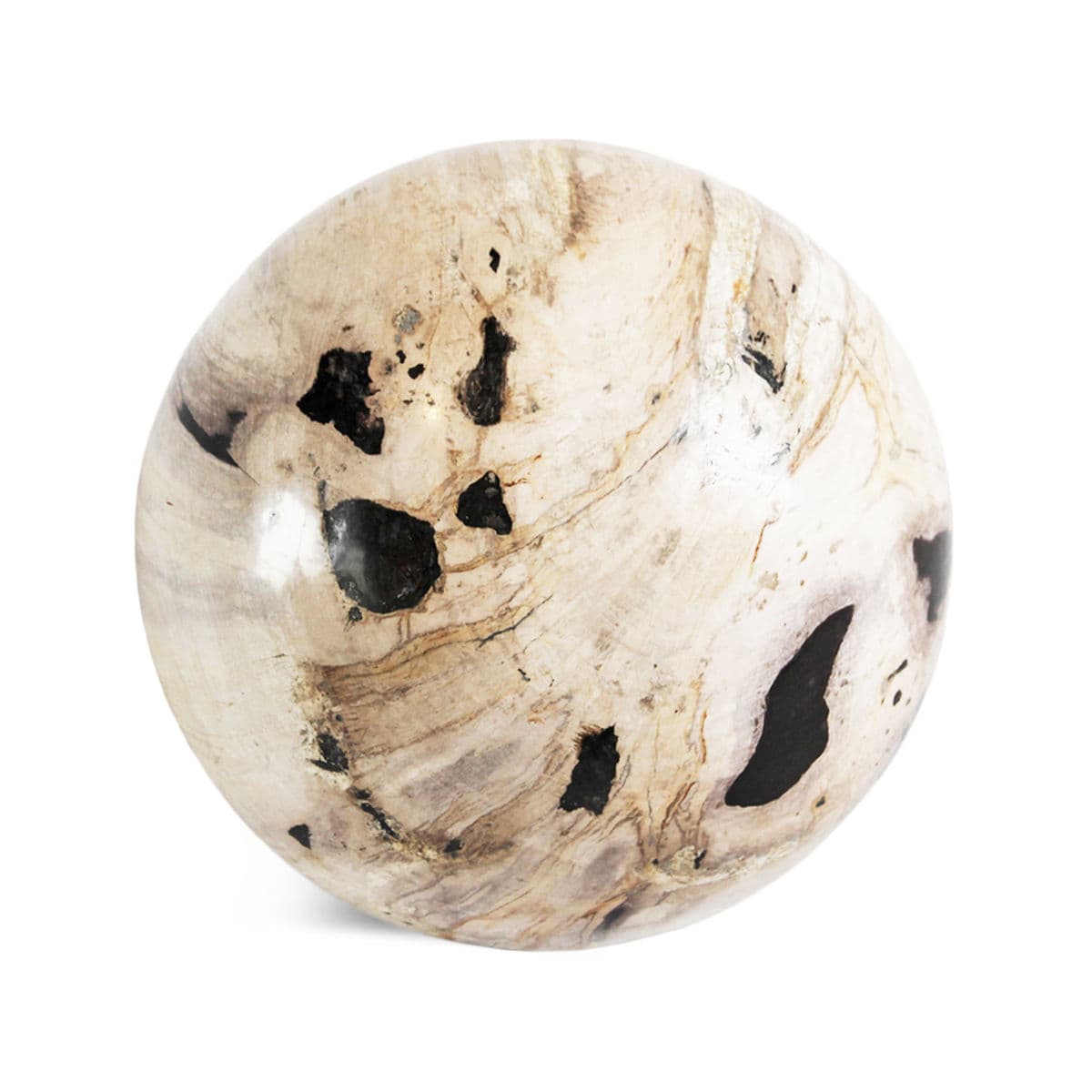Petrified Wood Sphere Art - Thumbnail 2
