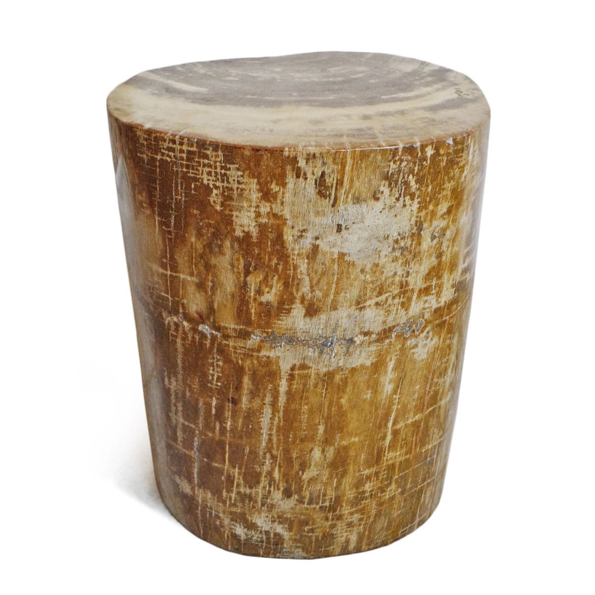 Petrified Wood Stump Stool - Thumbnail 2