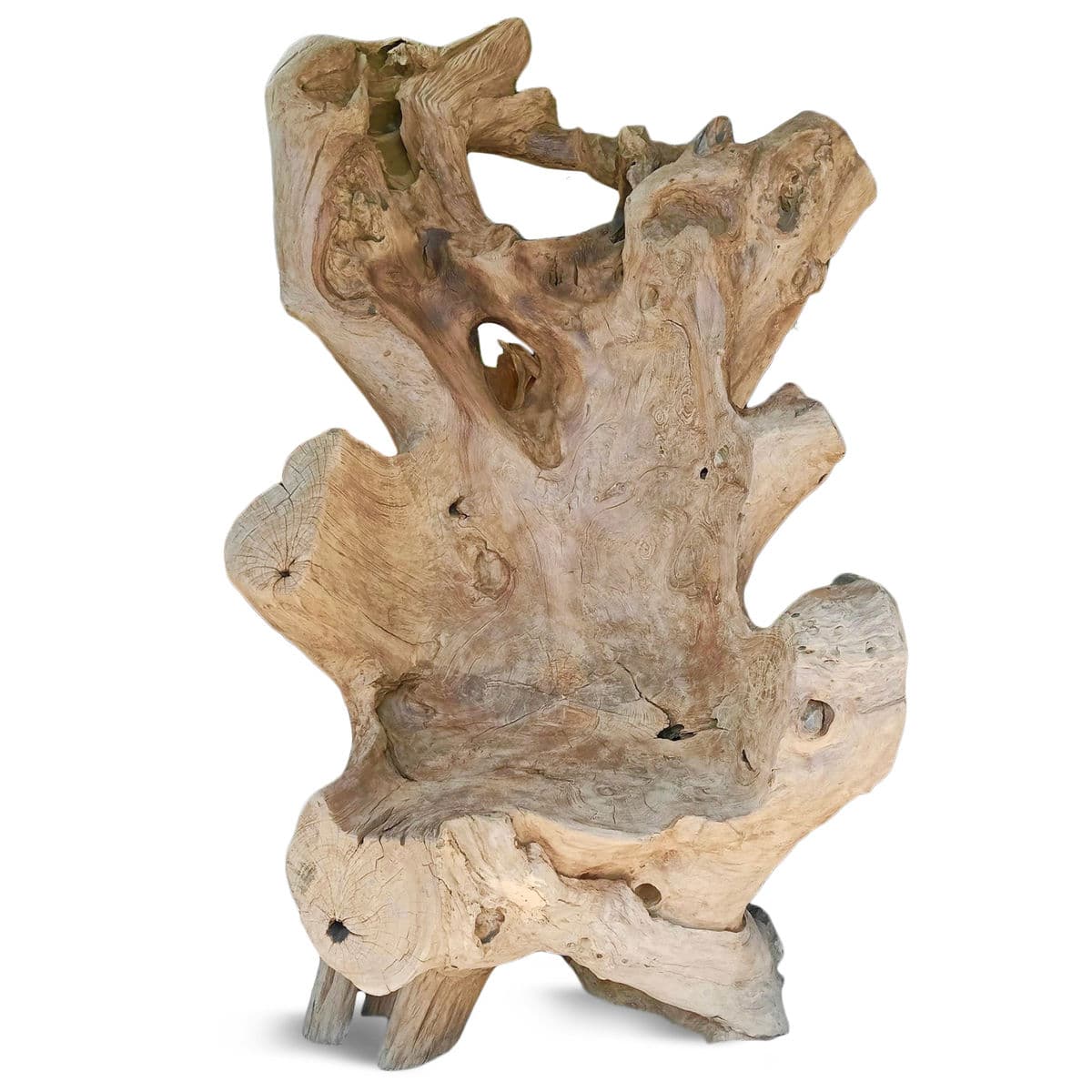 Giant Teak Root Throne Chair - Thumbnail 2
