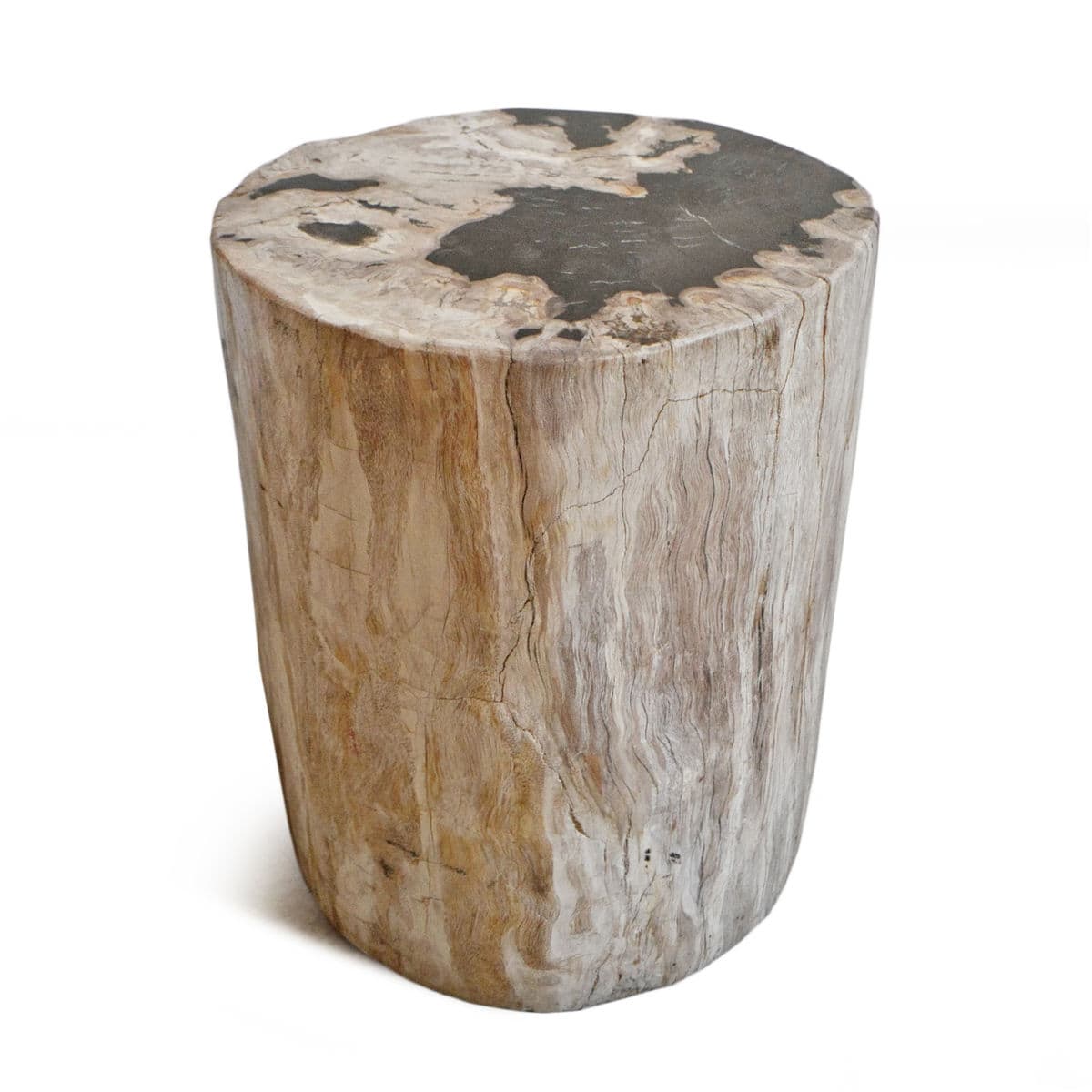 Petrified Wood Stump Stool - Thumbnail 2