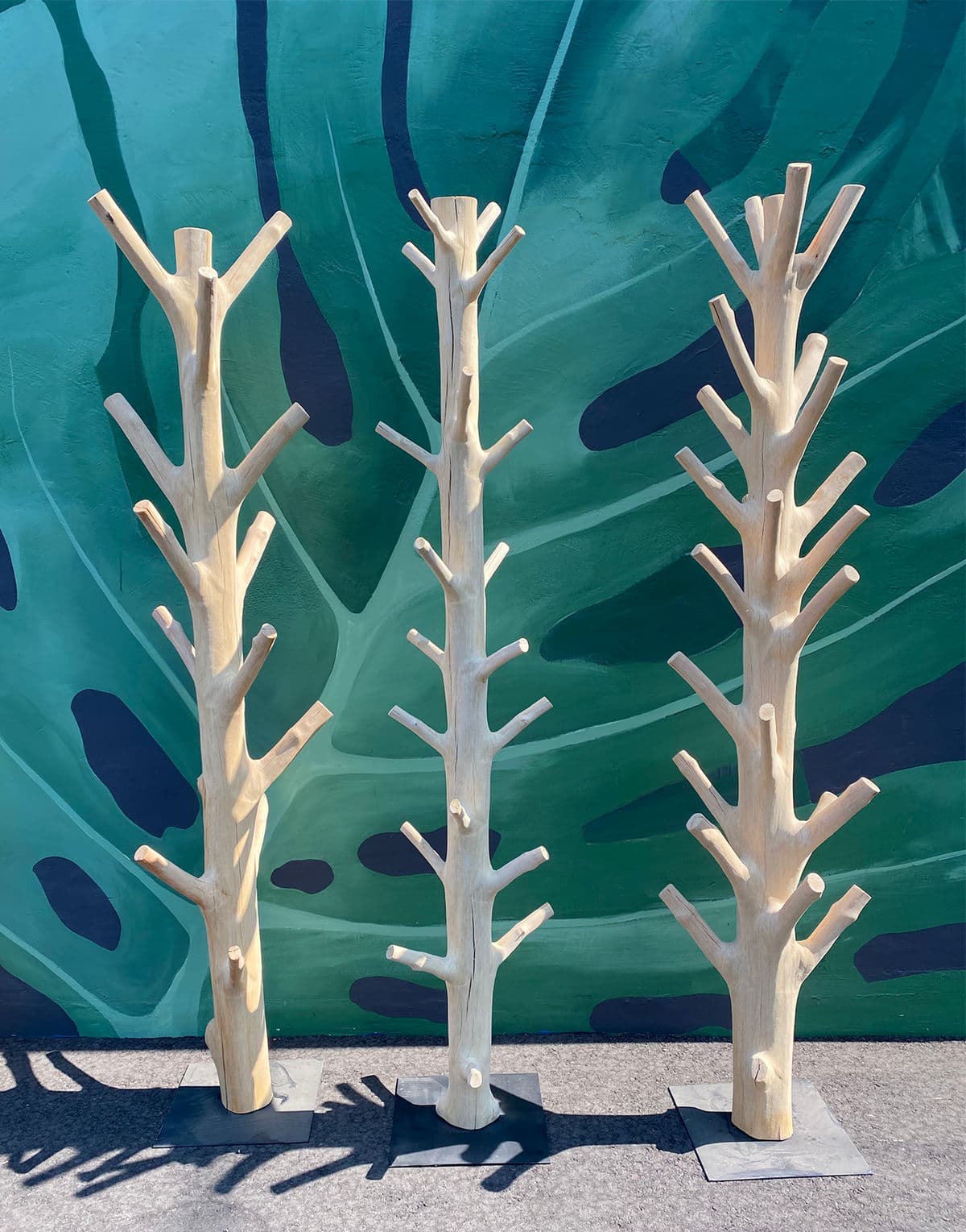 Natural Tree Hook Hanging Rack - Thumbnail 15