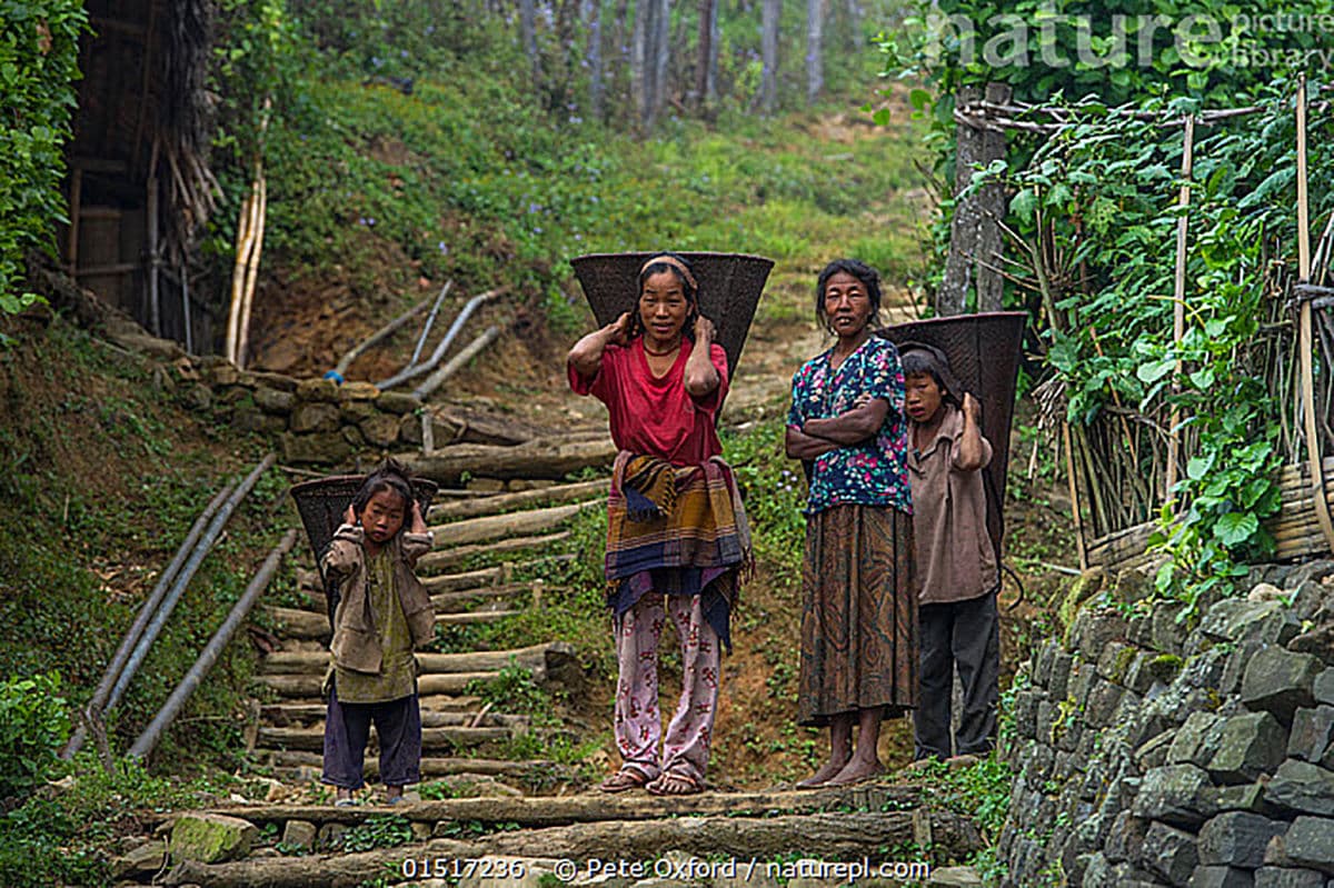 Antique Naga Village Basket Lantern - Thumbnail 16