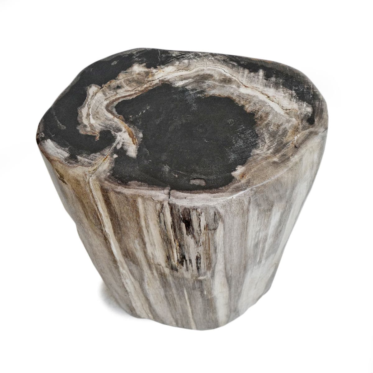 Petrified Stump Stool - Thumbnail 3