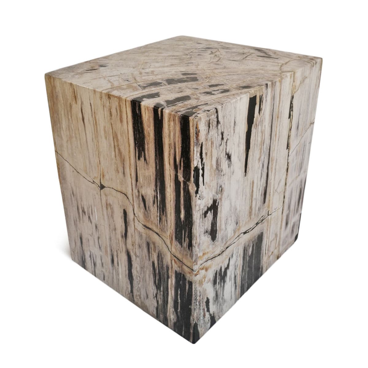 Square Petrified Wood Stump Table - Thumbnail 3