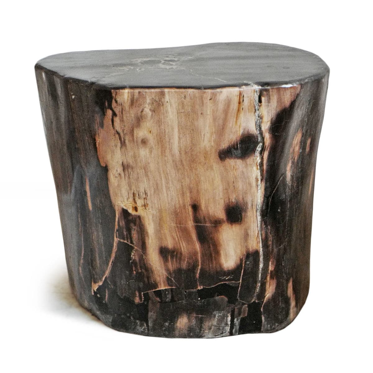 Petrified Wood Stump Stool - Thumbnail 3