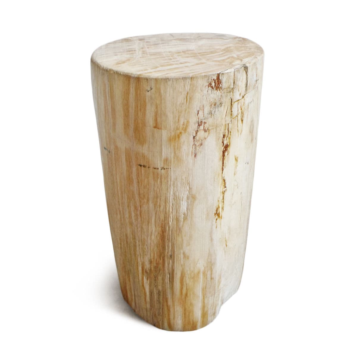 Petrified Wood Stump Stool - Thumbnail 3