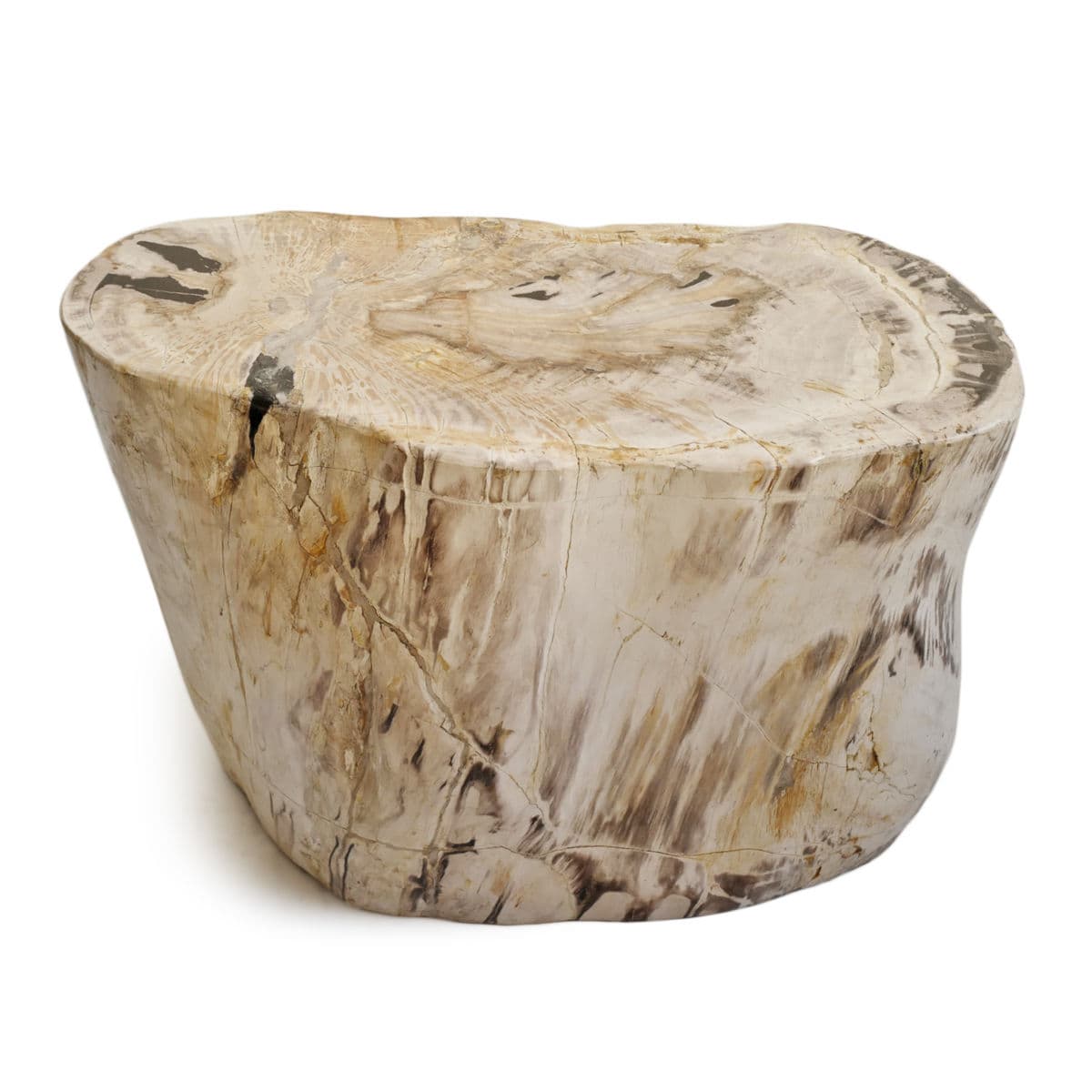 Petrified Wood Stump Stool Table - Thumbnail 3