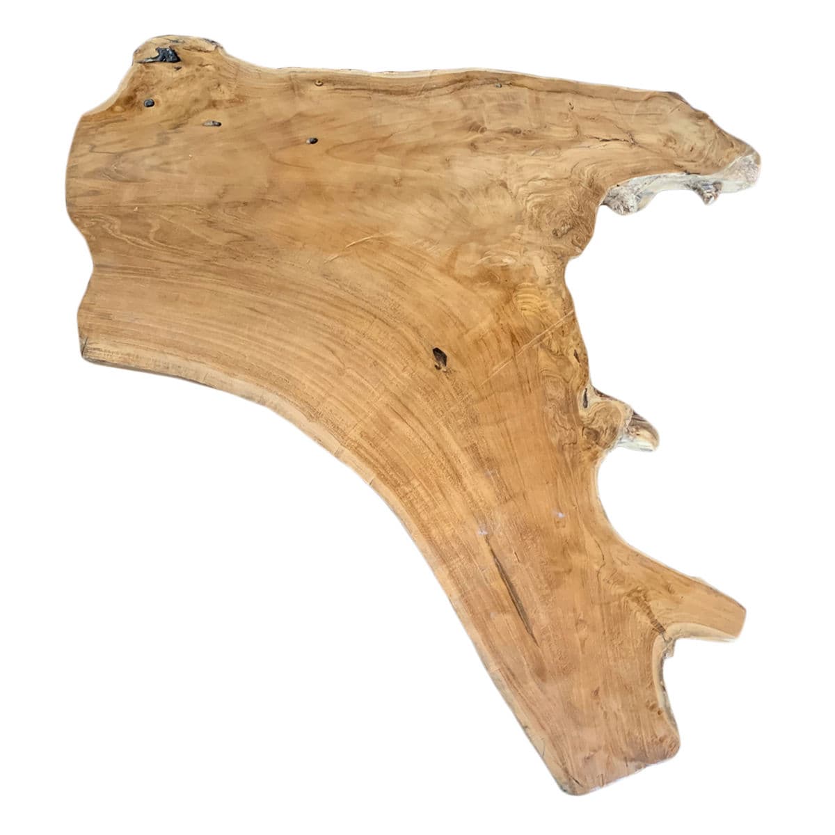 Organic Acacia Wood Slice - Thumbnail 3