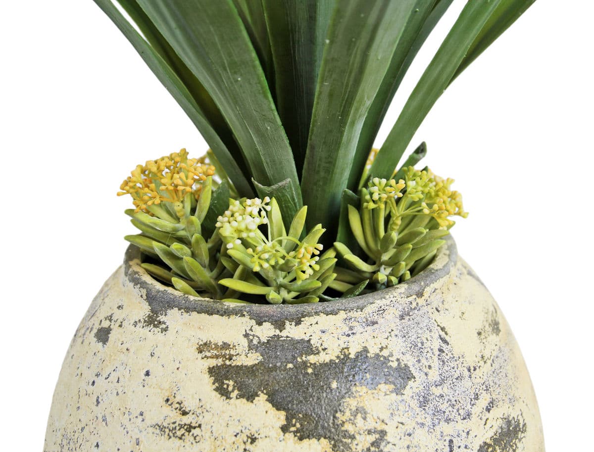 Earth Ware Pot w/Faux Yucca Needle Point - Thumbnail 3