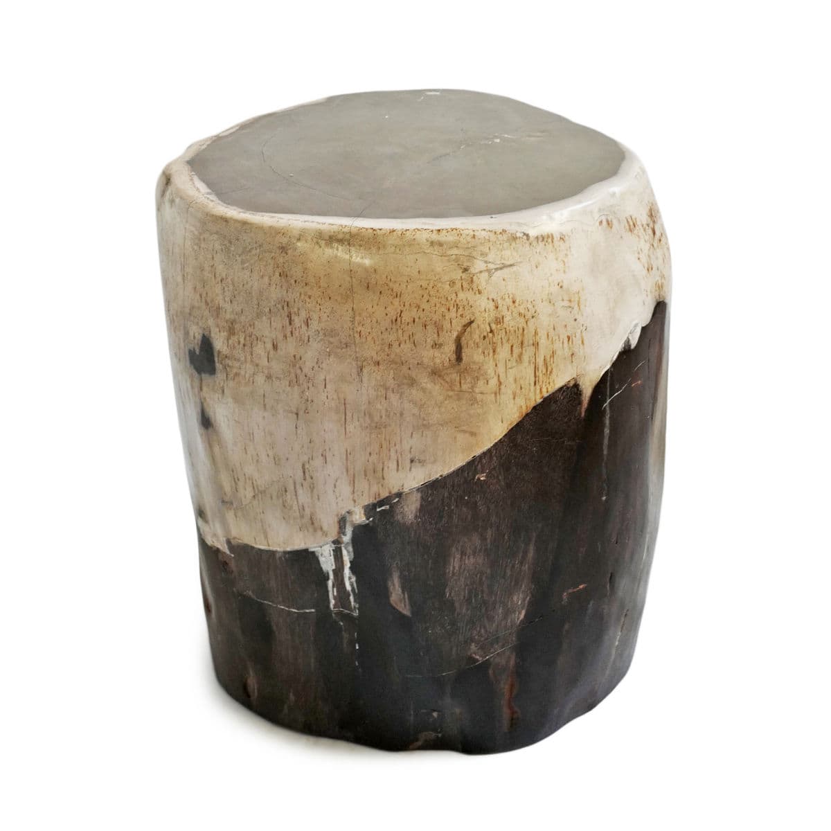 Petrified Wood Stump Stool Table - Thumbnail 3