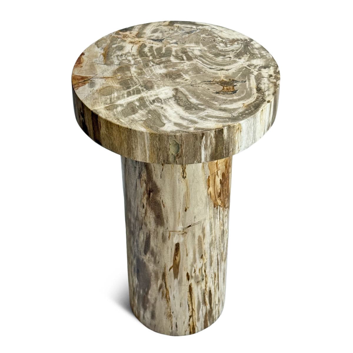 Petrified Wood Pillar Side Table - Thumbnail 3