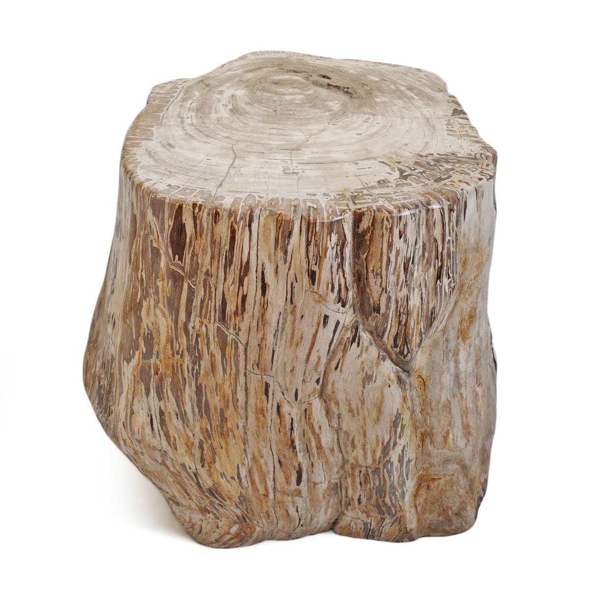 Petrified Wood Stump Stool Table - Thumbnail 3