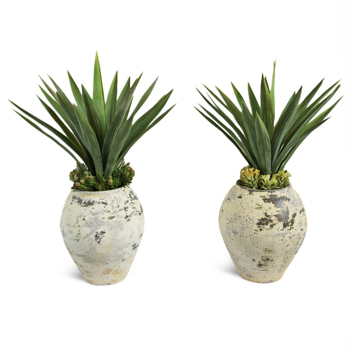 Earth Ware Pot w/Faux Yucca Needle Point - Thumbnail 3