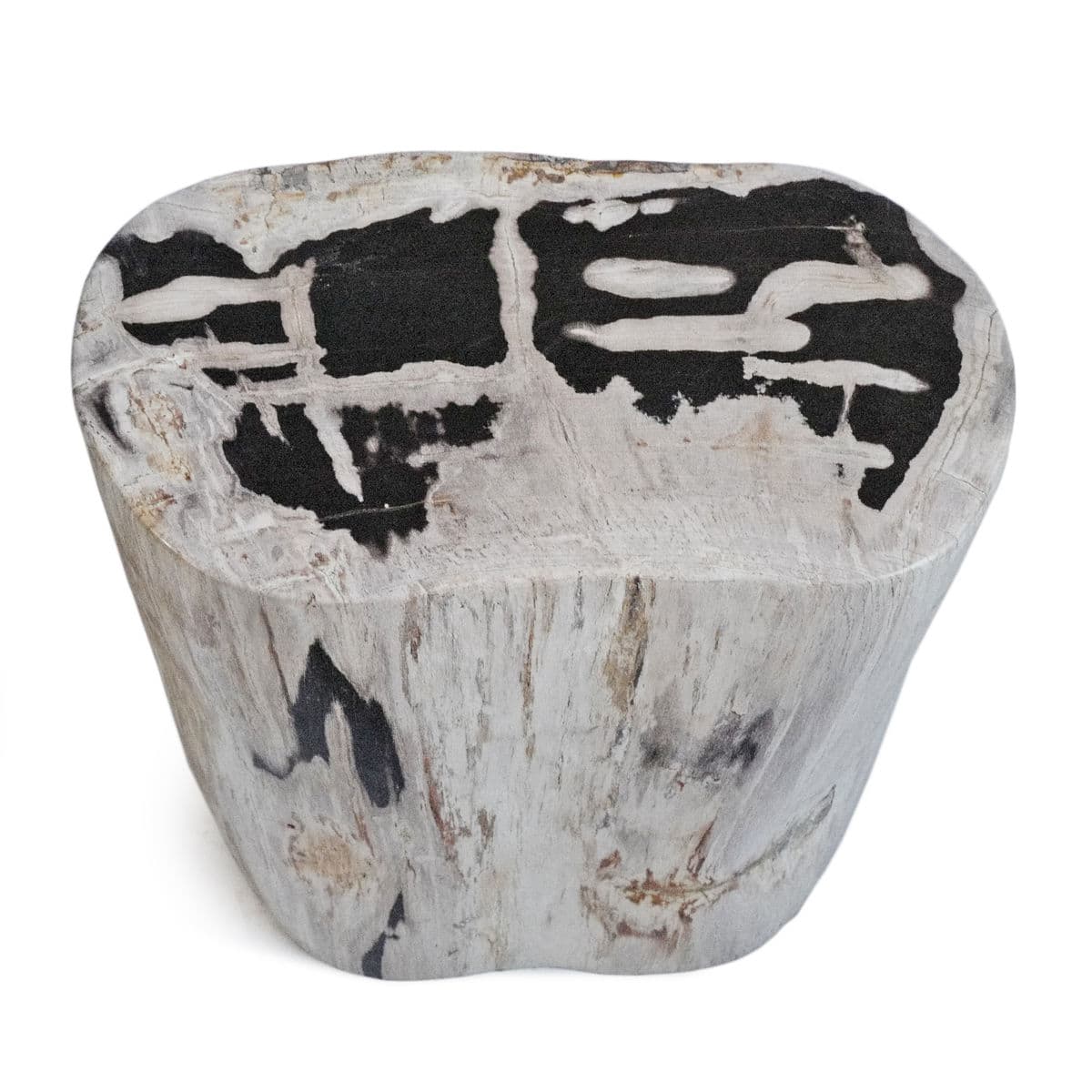 Petrified Wood Stump Stool Table - Thumbnail 3