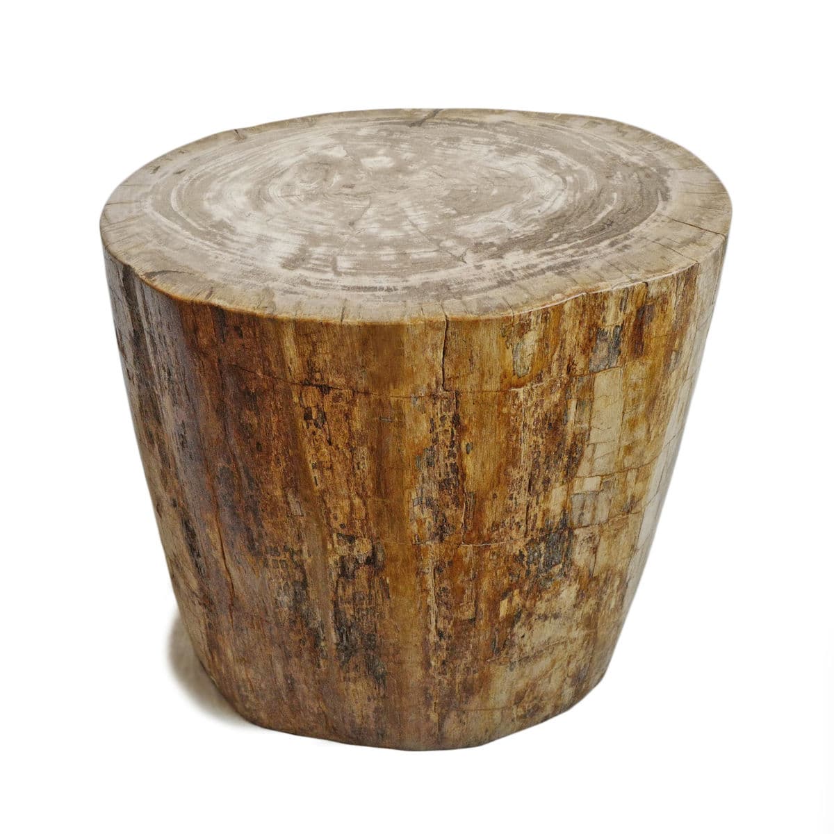 Petrified Stump Side Table - Thumbnail 3