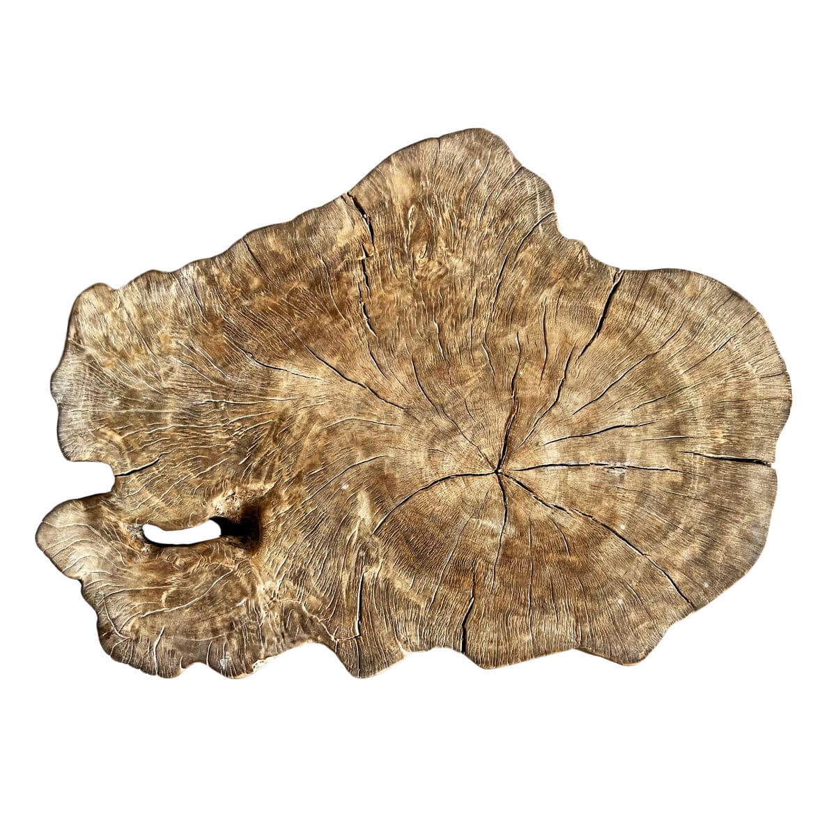 Burn Wash Lychee Stump Table - Thumbnail 3