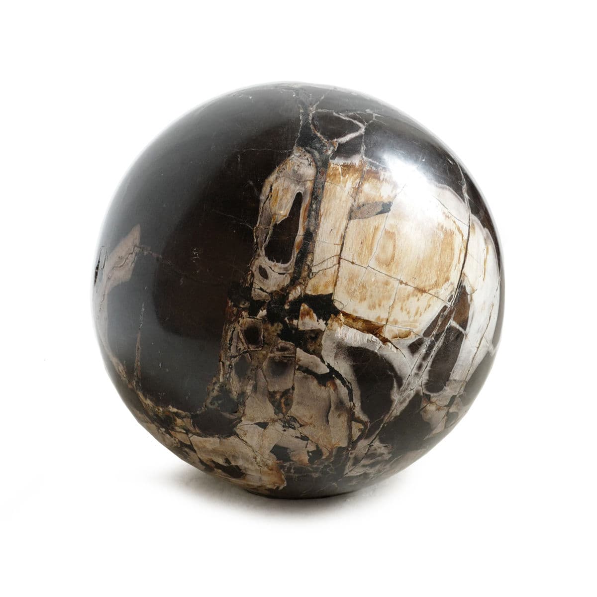Large Petrified Wood Sphere - Thumbnail 3