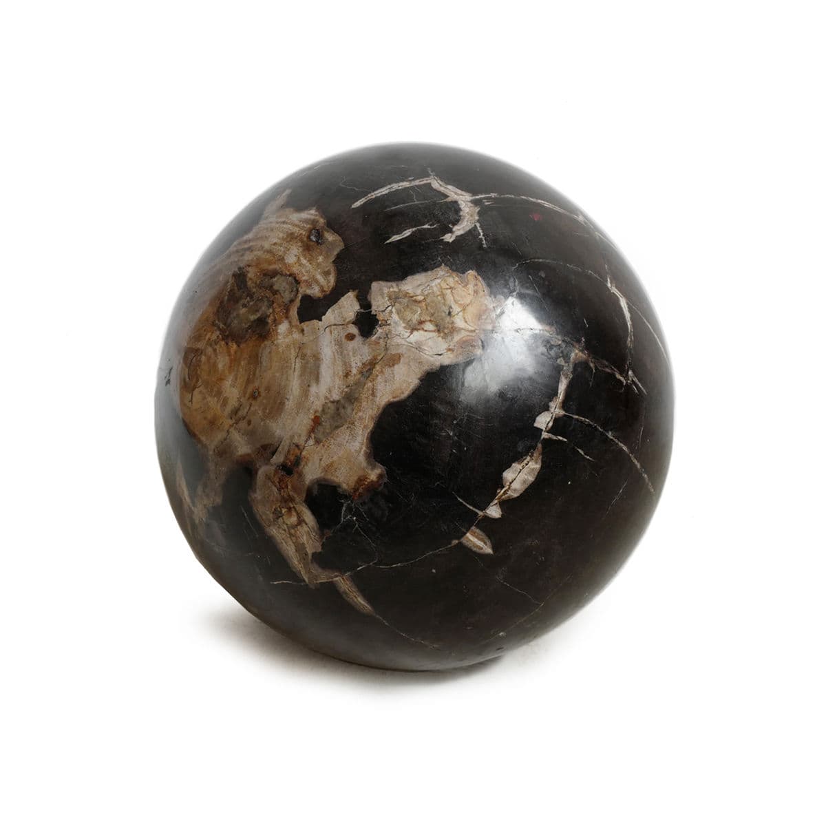 Large Petrified Wood Sphere - Thumbnail 3