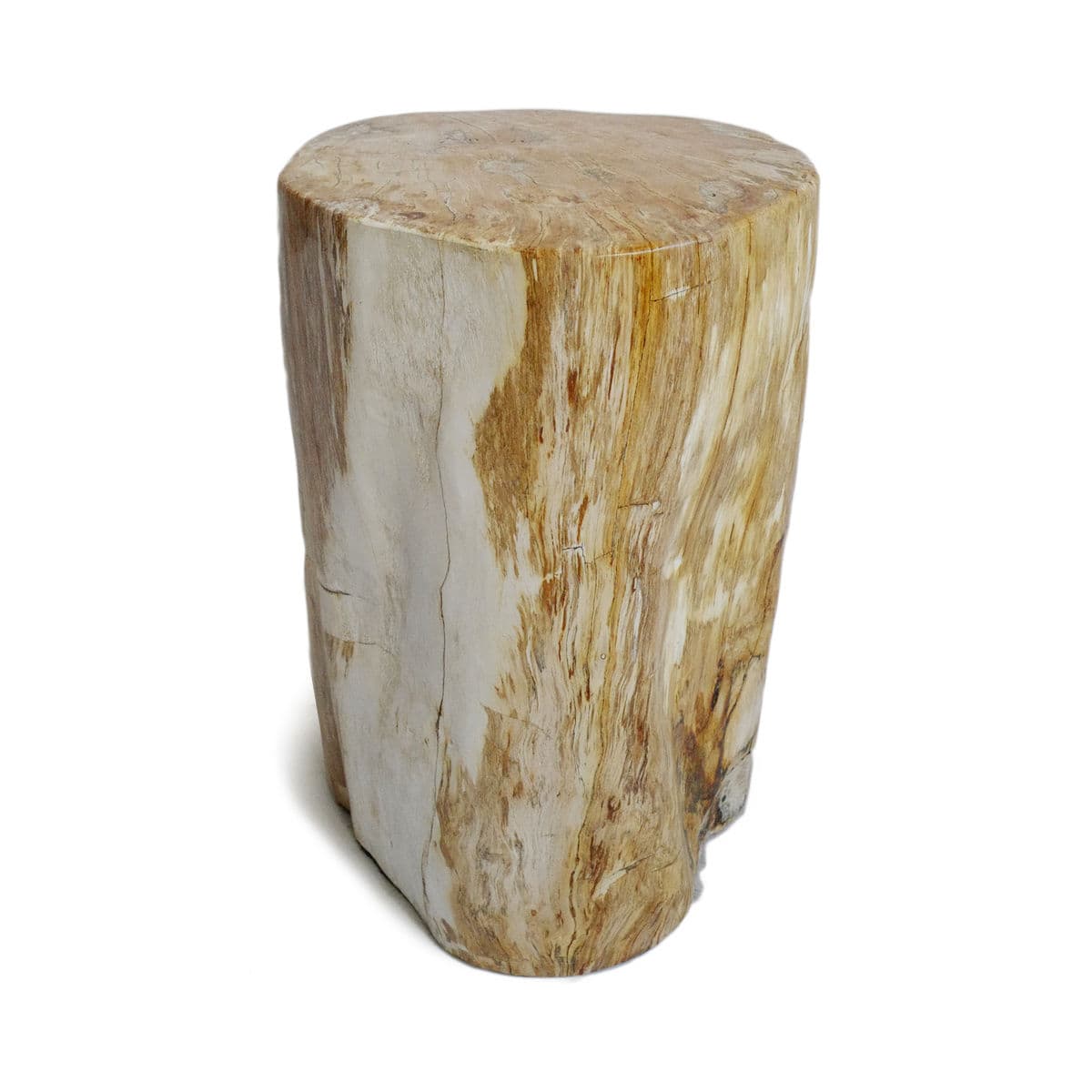 Petrified Stump Side Table - Thumbnail 4