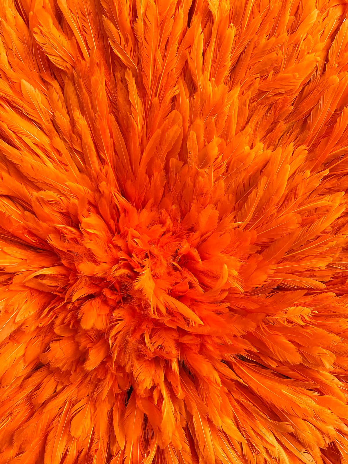 Vivid Orange Juju Wall Art - Thumbnail 4