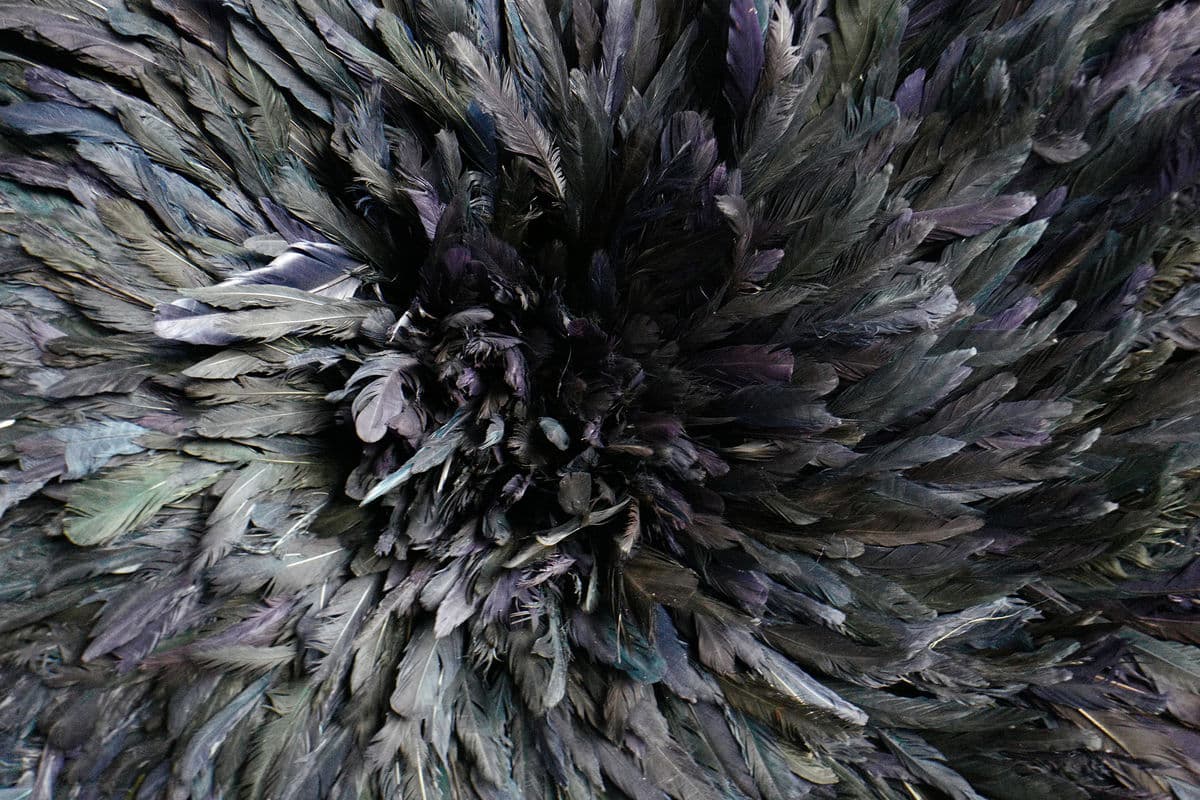 Jet Black Juju Hat Wall Art - Thumbnail 4