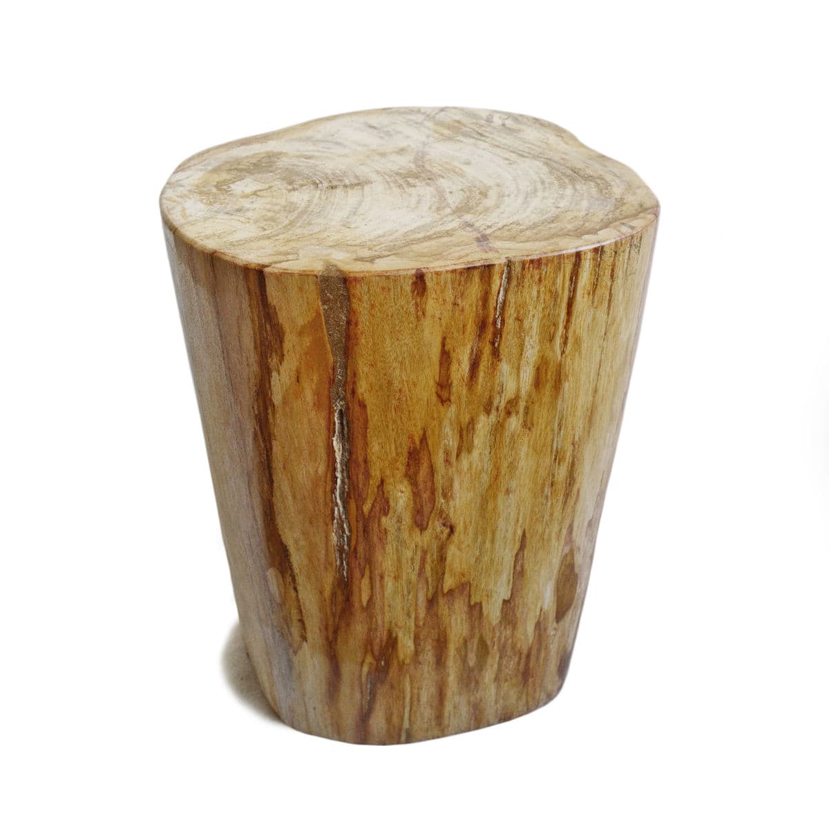 Petrified Stump Side Table - Thumbnail 4