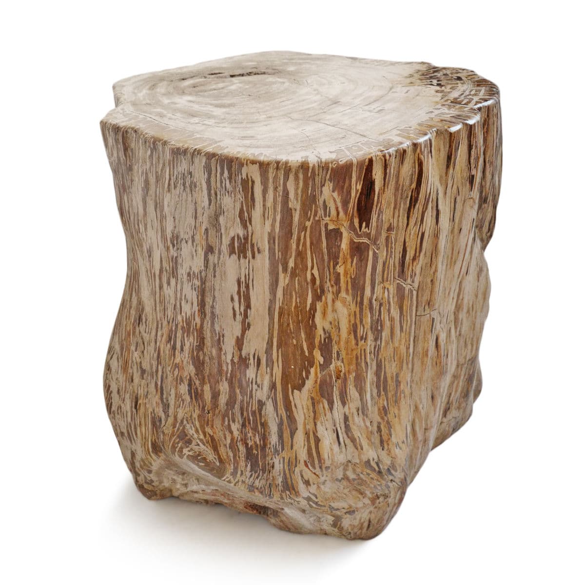 Petrified Wood Stump Stool Table - Thumbnail 4