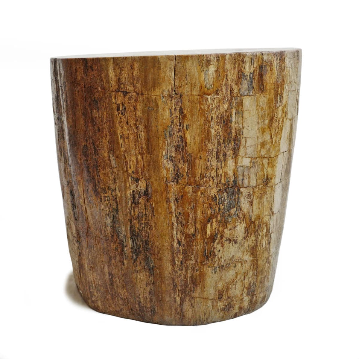 Petrified Stump Side Table - Thumbnail 4