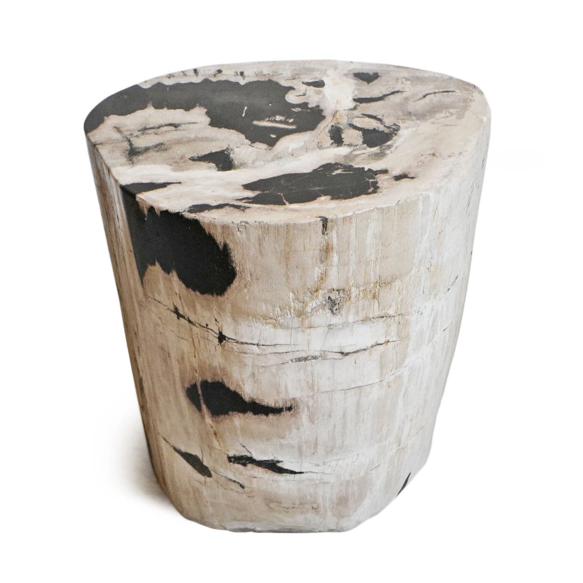 Petrified Wood Stump Stool - Thumbnail 4