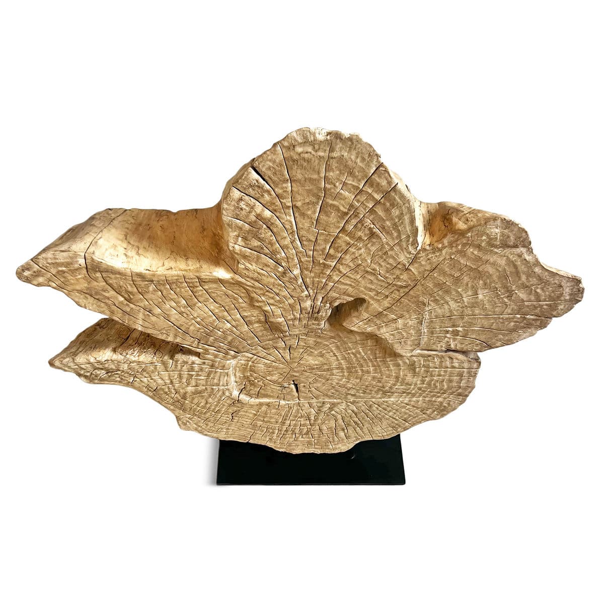 Organic Wood Form on Stand - Thumbnail 4