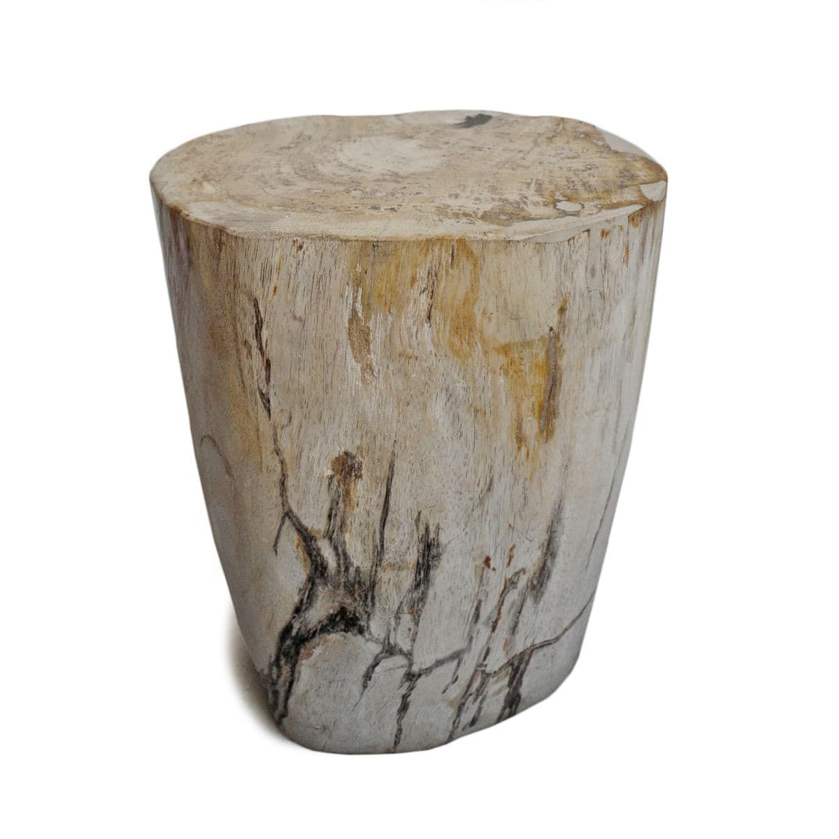 Petrified Stump Side Table / Stool - Thumbnail 4